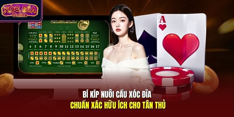 Bí kíp nuôi cầu xóc đĩa chuẩn xác hữu ích cho tân thủ