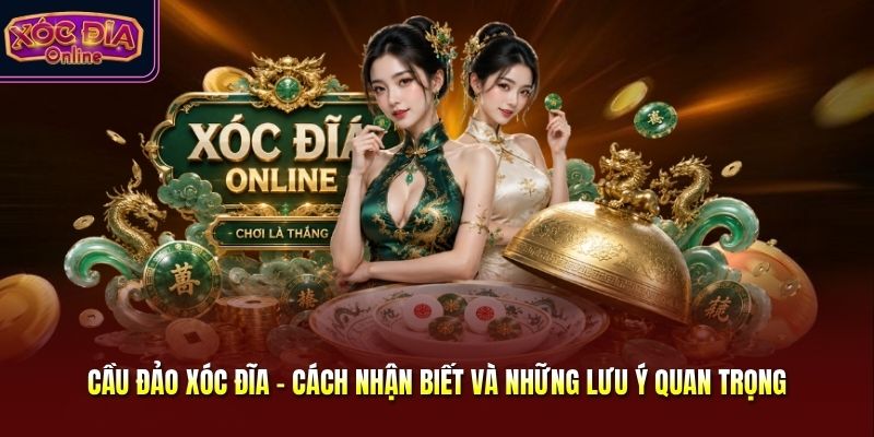 Cầu Đảo Xóc Đĩa - Cách Nhận Biết Và Những Lưu Ý Quan Trọng