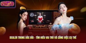 Dealer Trong Xóc Đĩa - Tìm Hiểu Vai Trò Và Công Việc Cụ Thể