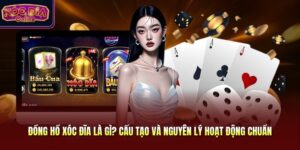 Đồng Hồ Xóc Đĩa Là Gì? Cấu Tạo Cụ Thể Và Cách Hoạt Động