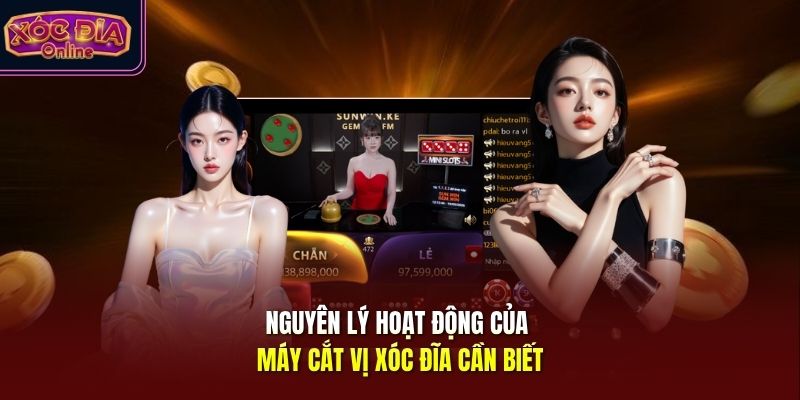 Nguyên lý hoạt động của máy cắt vị xóc đĩa cần biết