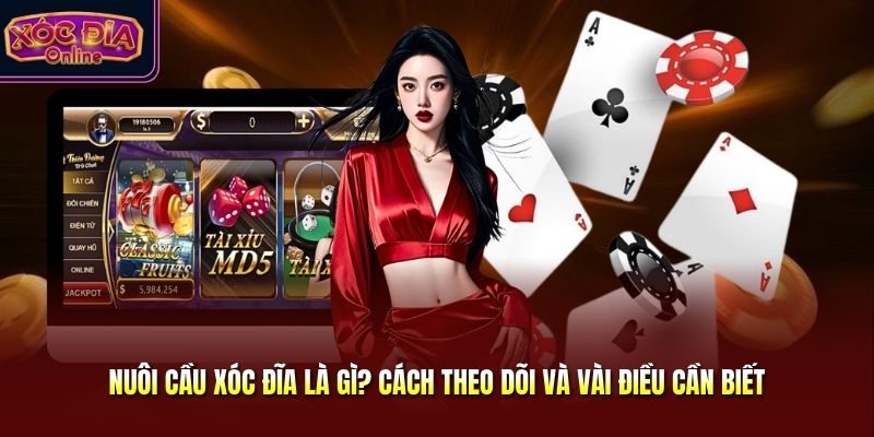 Nuôi Cầu Xóc Đĩa Là Gì? Cách Theo Dõi Và Vài Điều Cần Biết