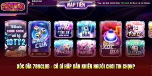 Xóc Đĩa 789Club - Có Gì Hấp Dẫn Khiến Người Chơi Tin Chọn?