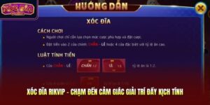 Xóc Đĩa Rikvip - Chạm Đến Cảm Giác Giải Trí Đầy Kịch Tính